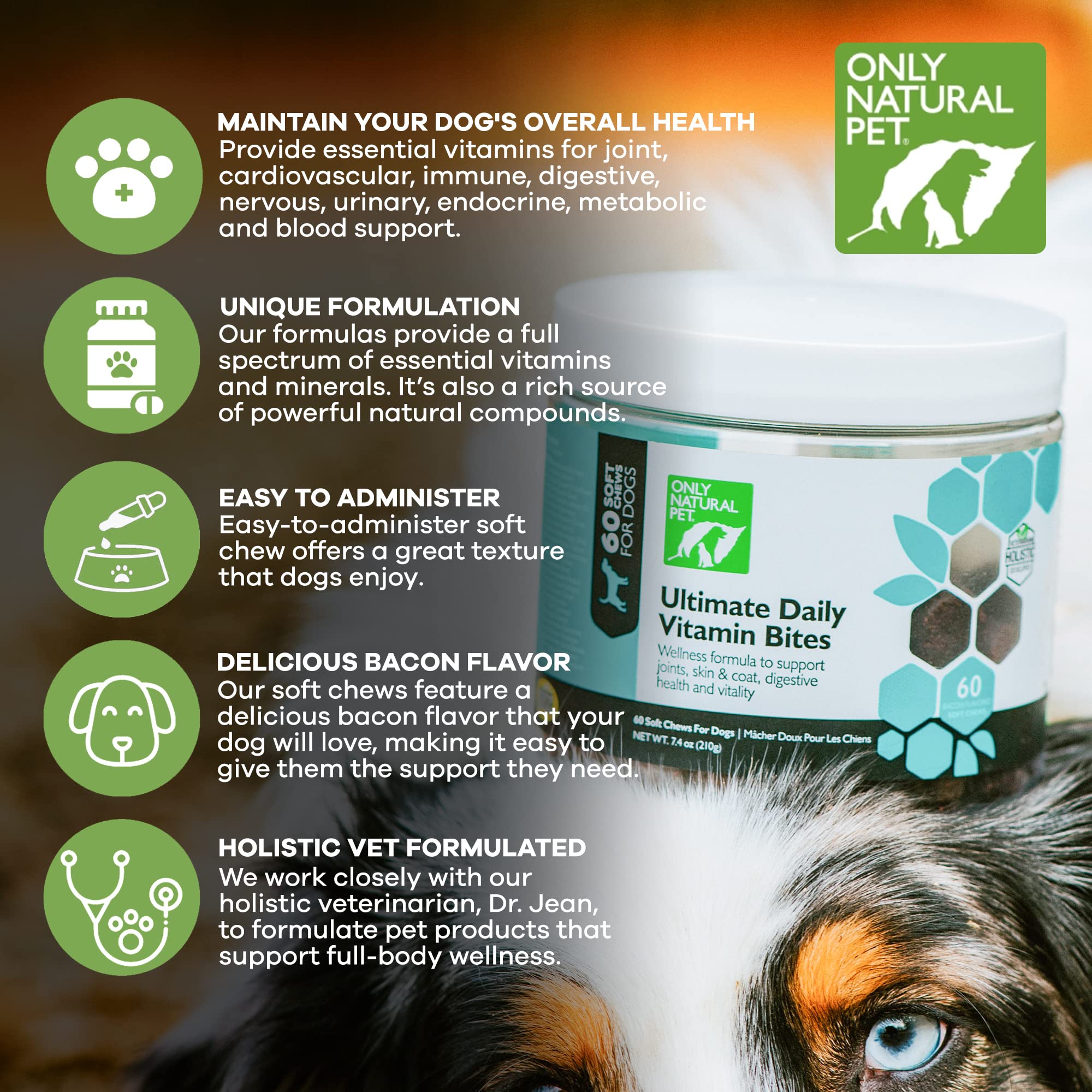 Only Natural Pet soutien immunitaire pour chiens, image montrant une friandise.