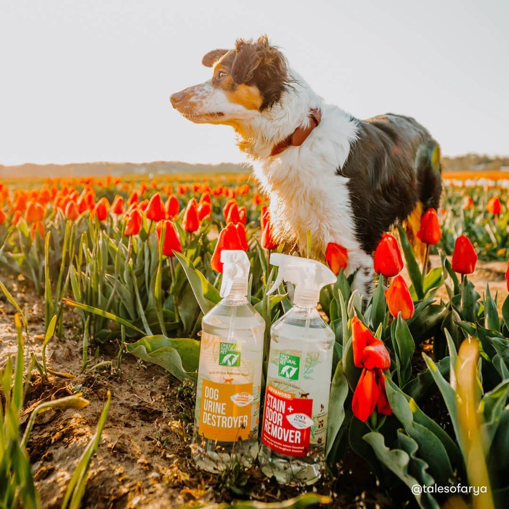 Only Natural Pet emballage-eco-responsable et recyclage prévu.