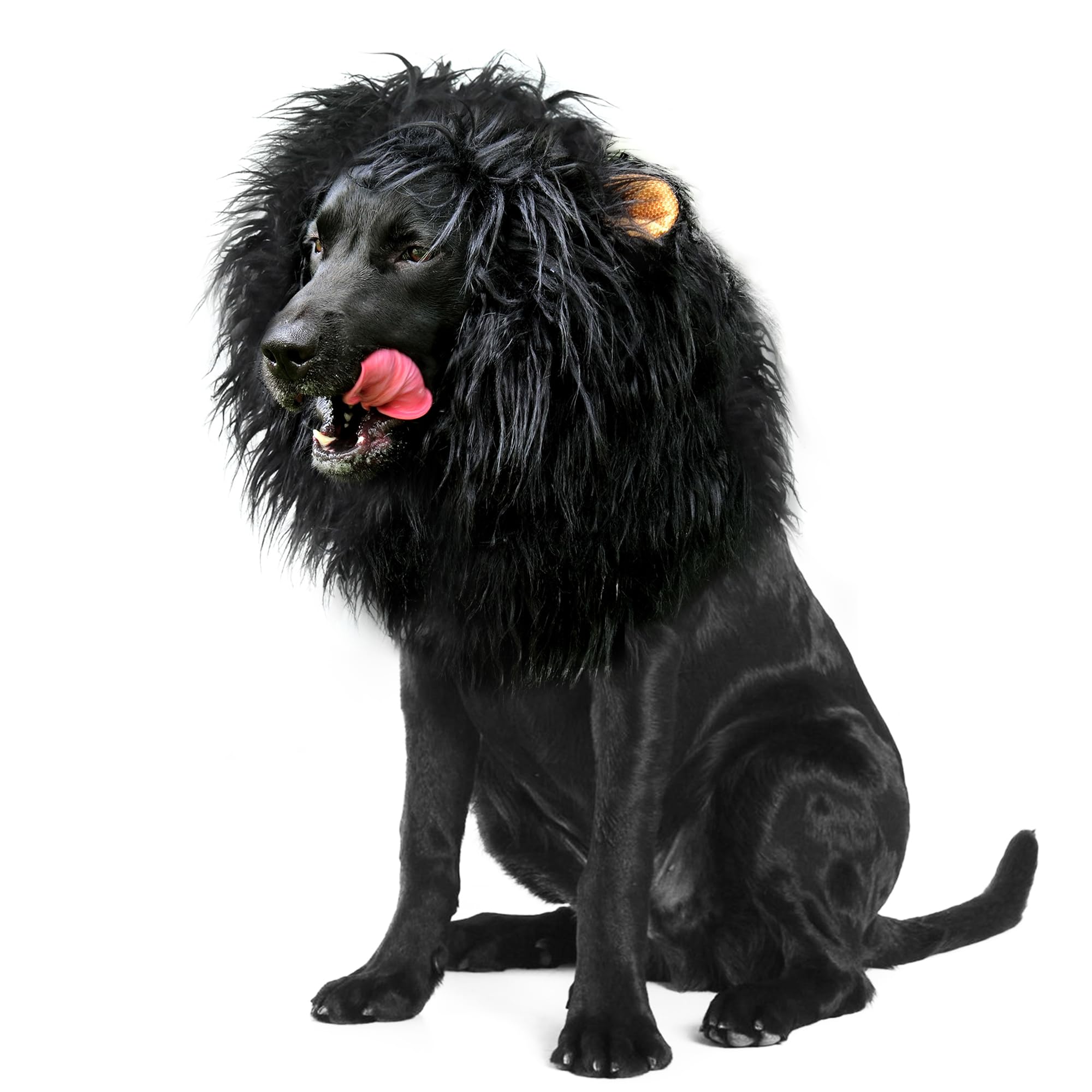 Onmygogo lion-crinière pour chien, aspect réaliste et peluche douce.