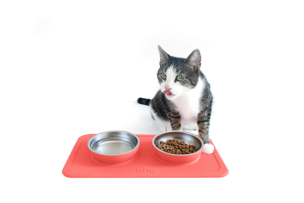 Ono ensemble repas double corail et tapis silicone.