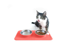 Ono ensemble repas double corail et tapis silicone.