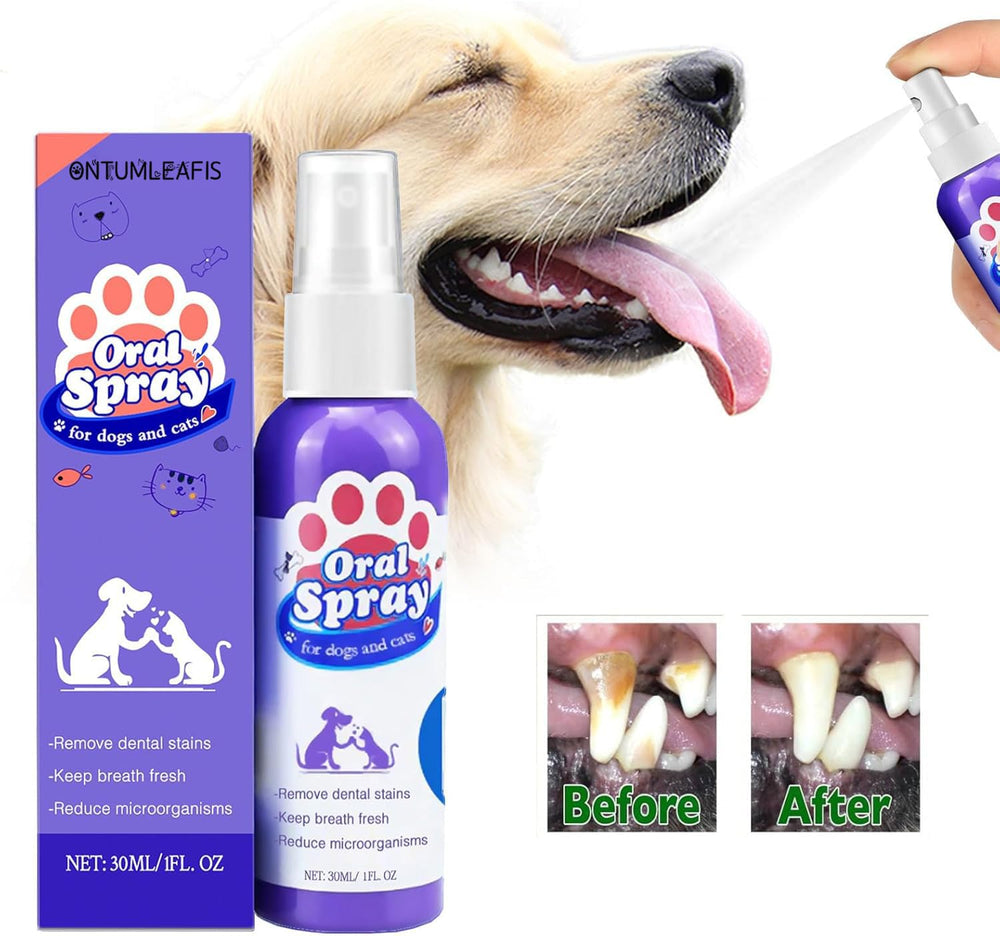 OntumLeafis: solution anti-taches dentaires pour chats et chiens visibles.
