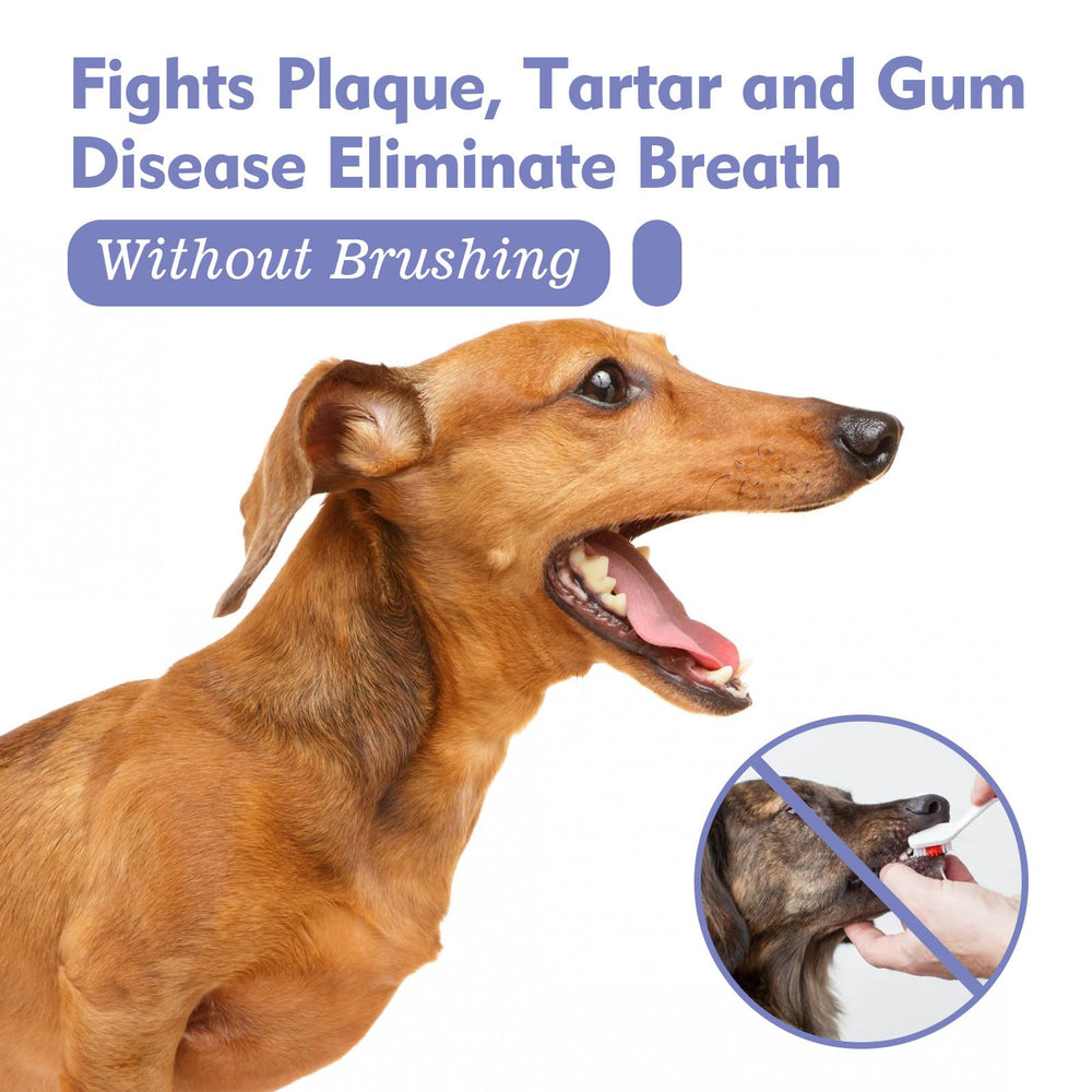 OntumLeafis: utilisation rapide sans brossage, pratique pour animaux réticents.