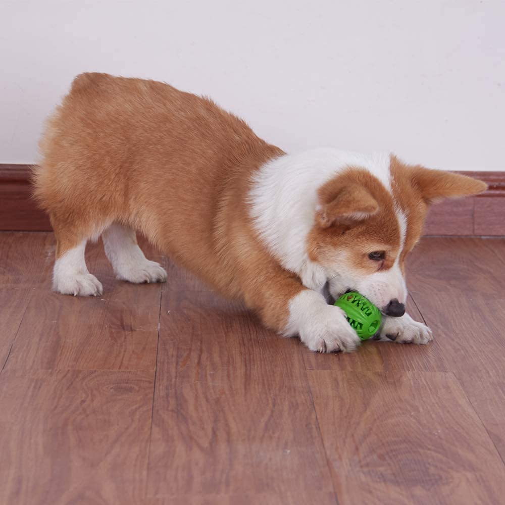 Balle ONTWOPETS pour lancer et récupération, utile en jeu de poursuite.