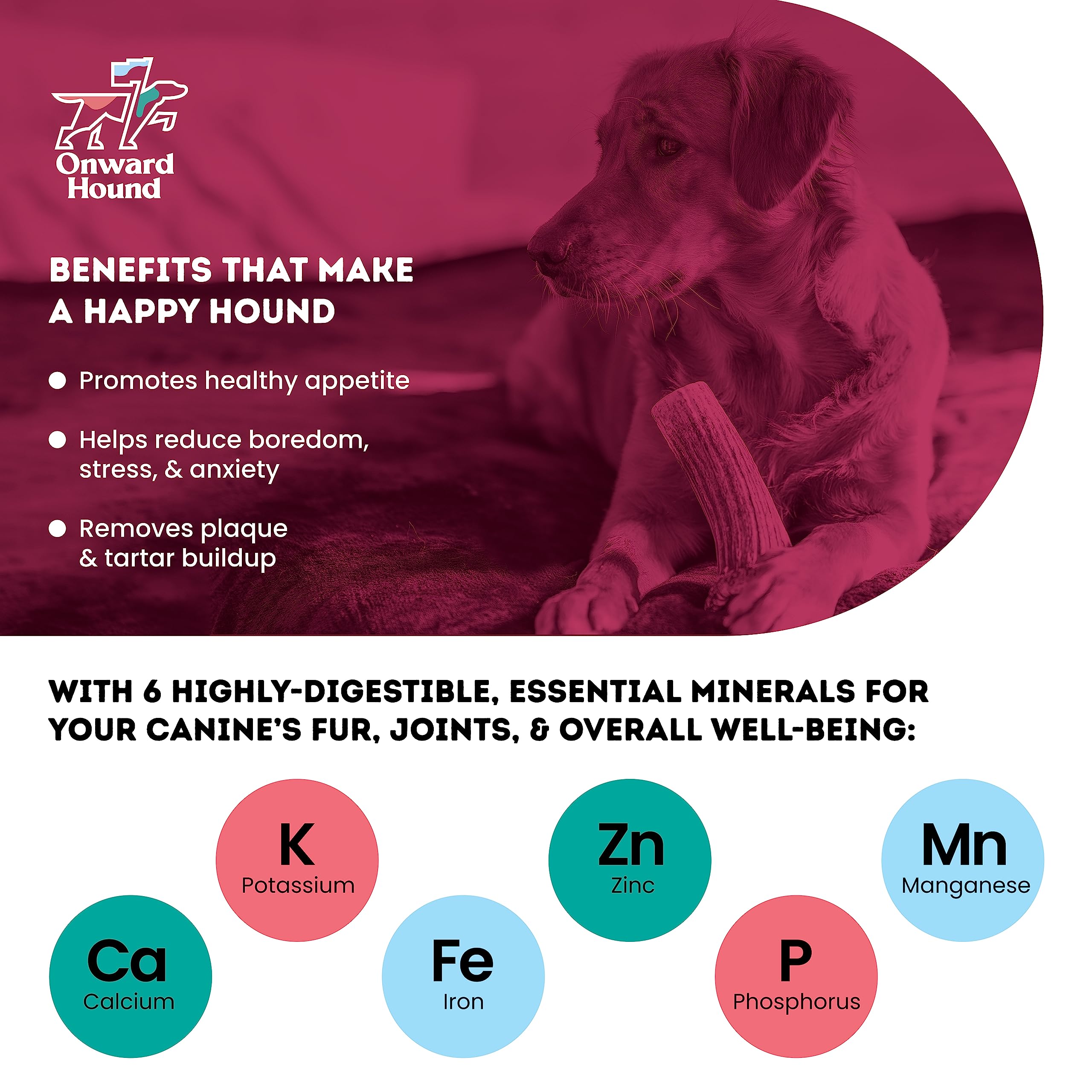 Onward Hound - calcium-mineraux: soutien osseux et minéral sans additifs
