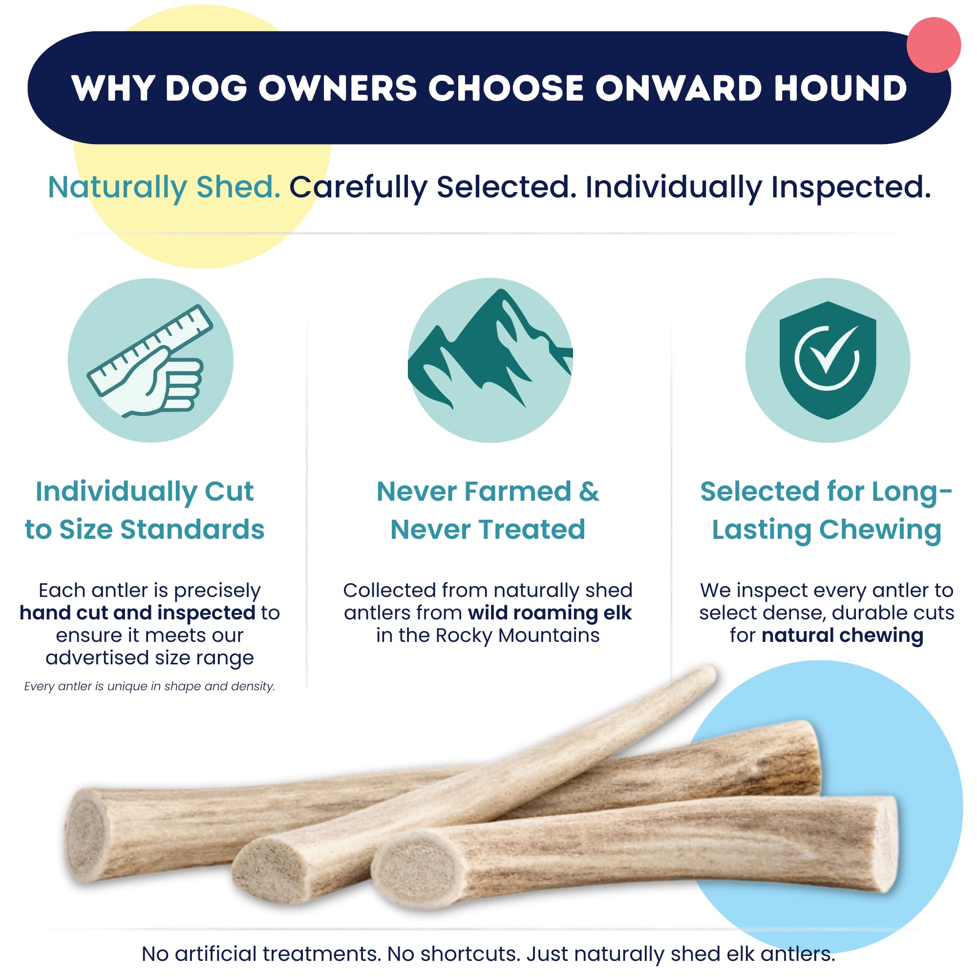 Onward Hound ramure d’élan premium américain, naturelle et sans additifs.