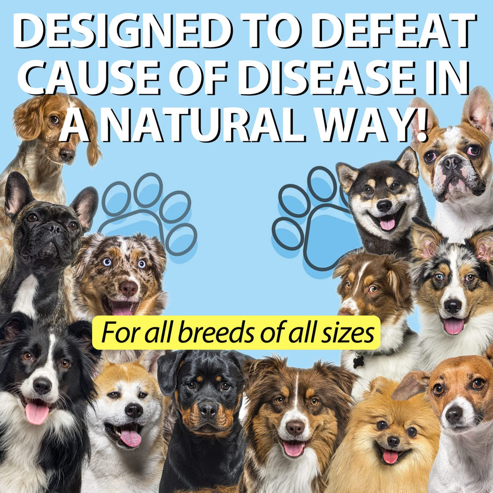 Onznoz toux chiens: composition-plantes, soutien naturel des voies respiratoires.