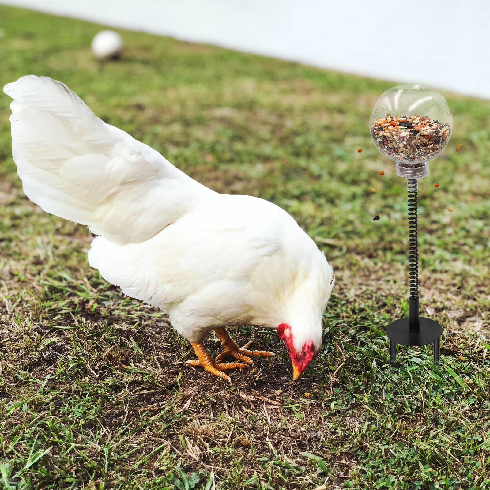 Oooct jouet polyvalent; adapté poules, canards et perroquets pour enrichissement.