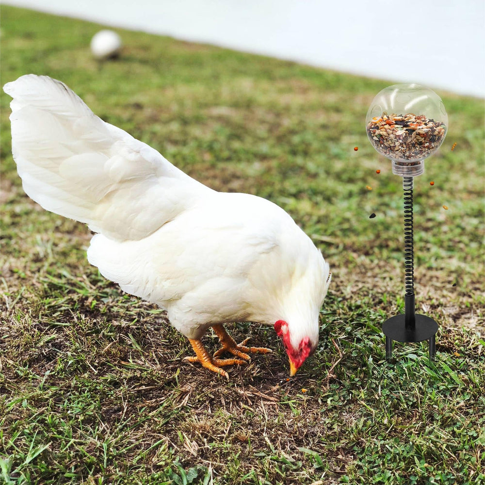 Oooct jouet polyvalent; adapté poules, canards et perroquets pour enrichissement.