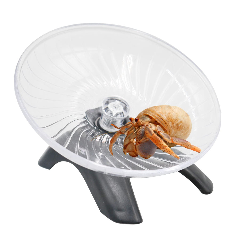 Roue Oooct pour crabes hermites, activité stable et silencieuse.