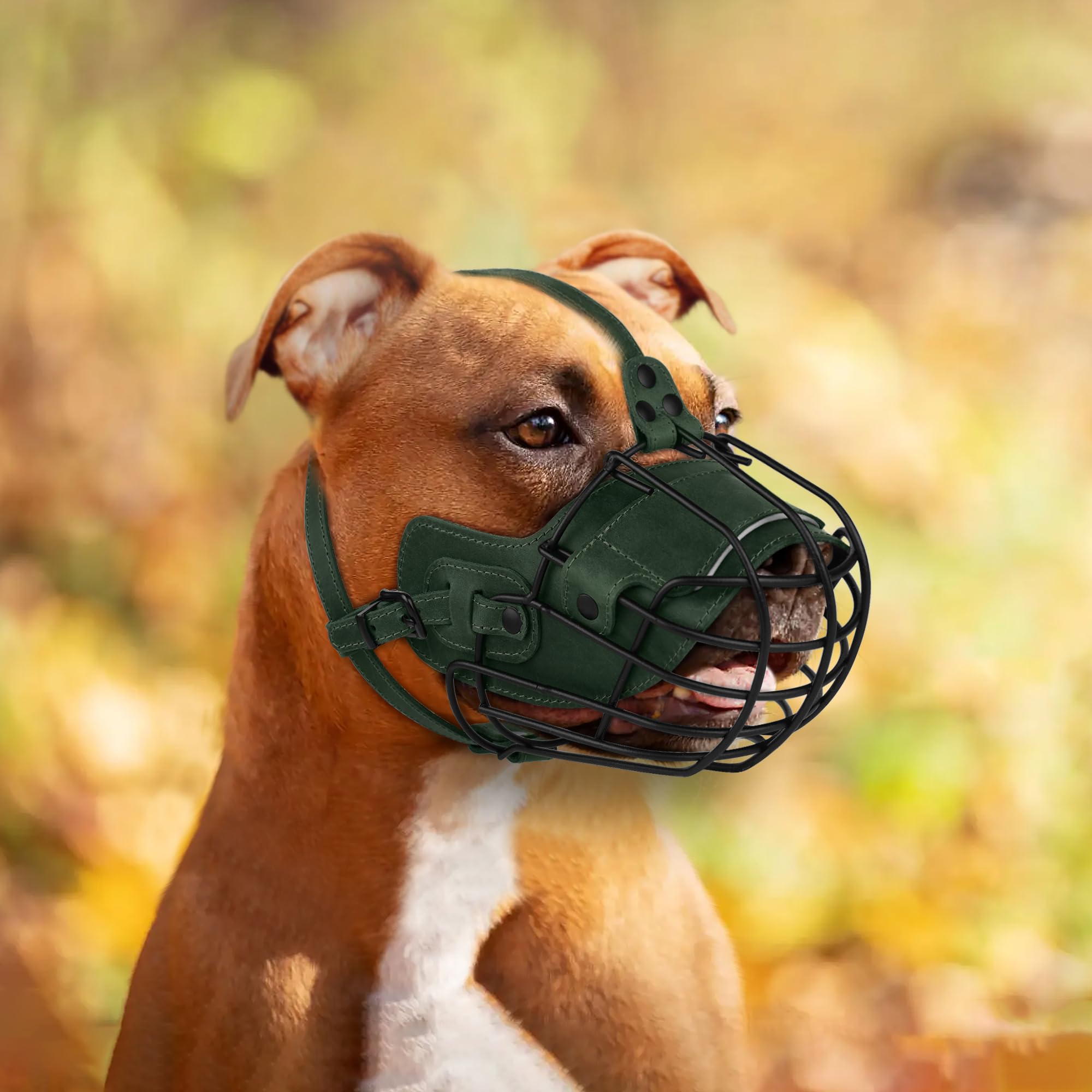 OOPSDOGGY accompagnement doux facilite l adaptation au museau.