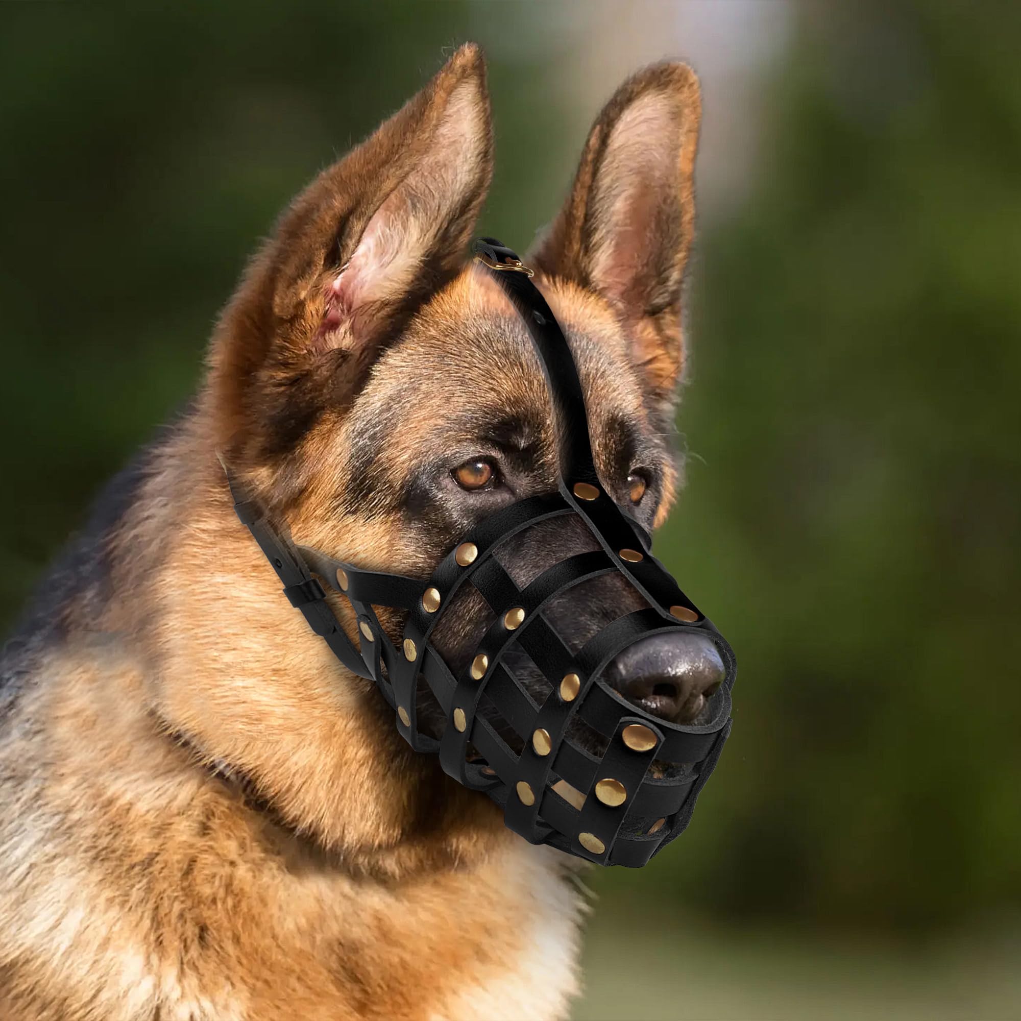 Guide de mesures OOPSDOGGY pour un ajustement précis du museau.