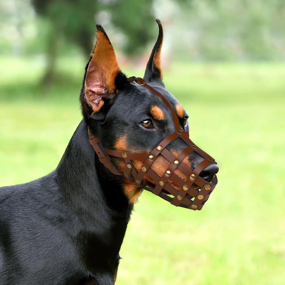 OOPSDOGGY masque ajustable cuir, maintien sécurisé sans glissement.