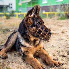 OOPSDOGGY masque respirant trame croisee, confort lors des sorties.