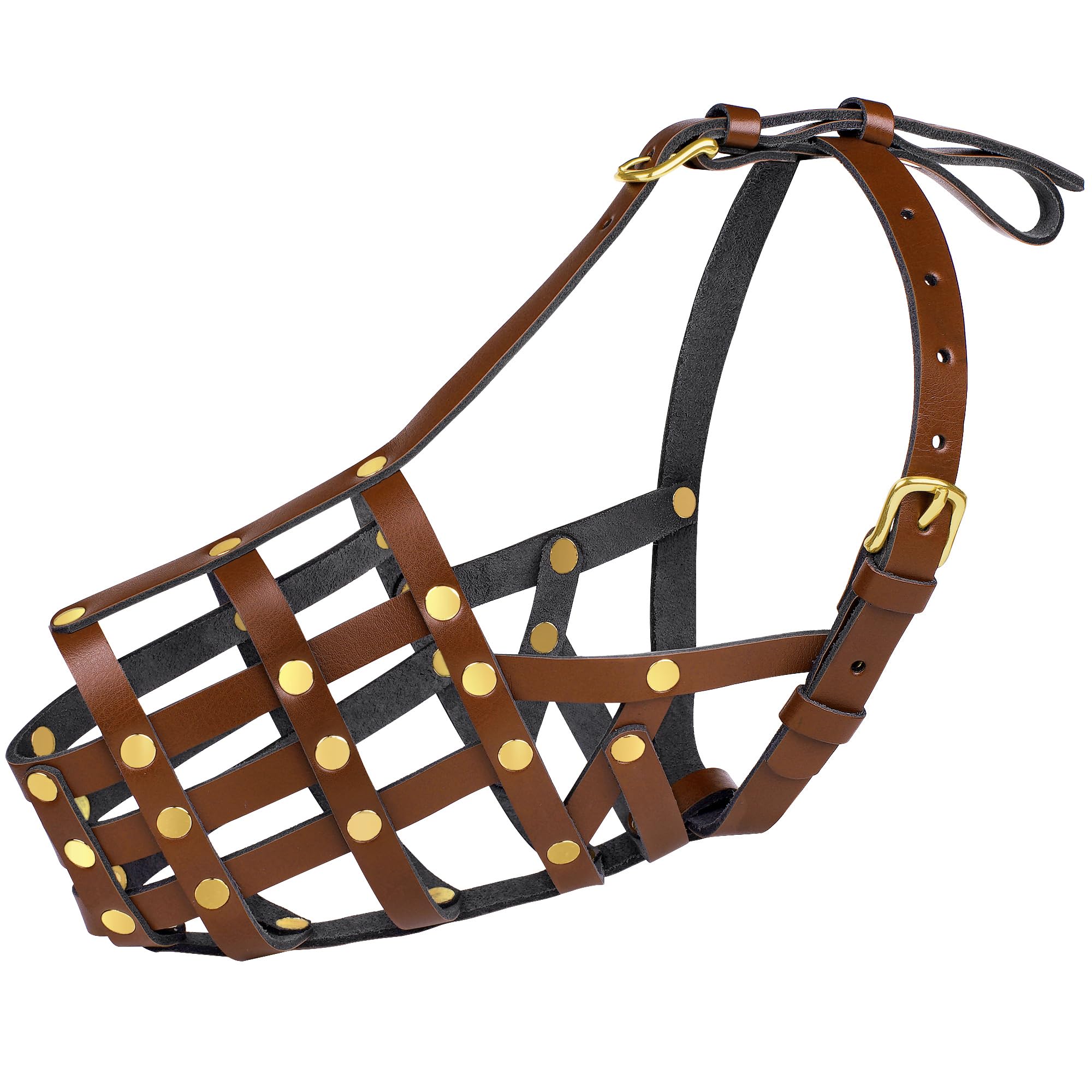 OOPSDOGGY masque utilisation entrainement, renforcement positif en douceur.