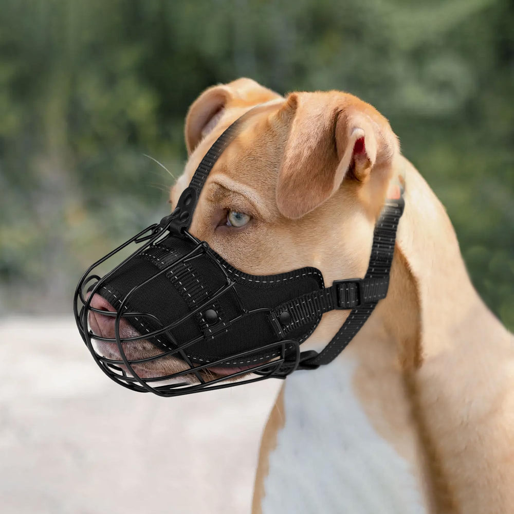 OOPSDOGGY Utilisations: entrainement et controle