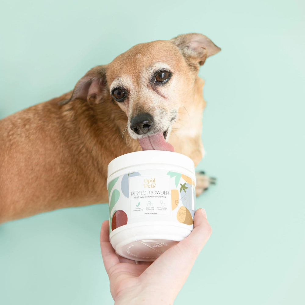 Opal Pets Perfect Powder, emballage – produit fabriqué aux États‑Unis et vegan.