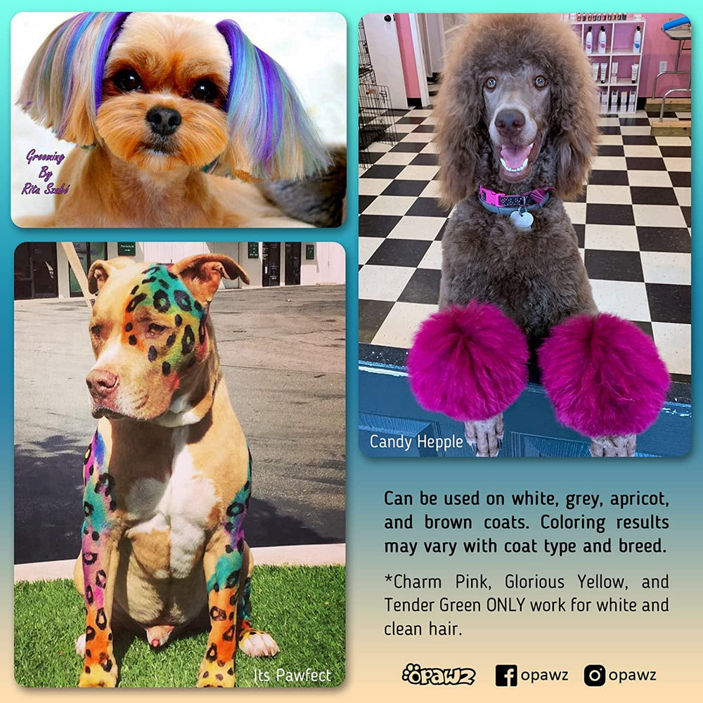 OPAWZ coloration permanente chien – application facile sur le pelage.