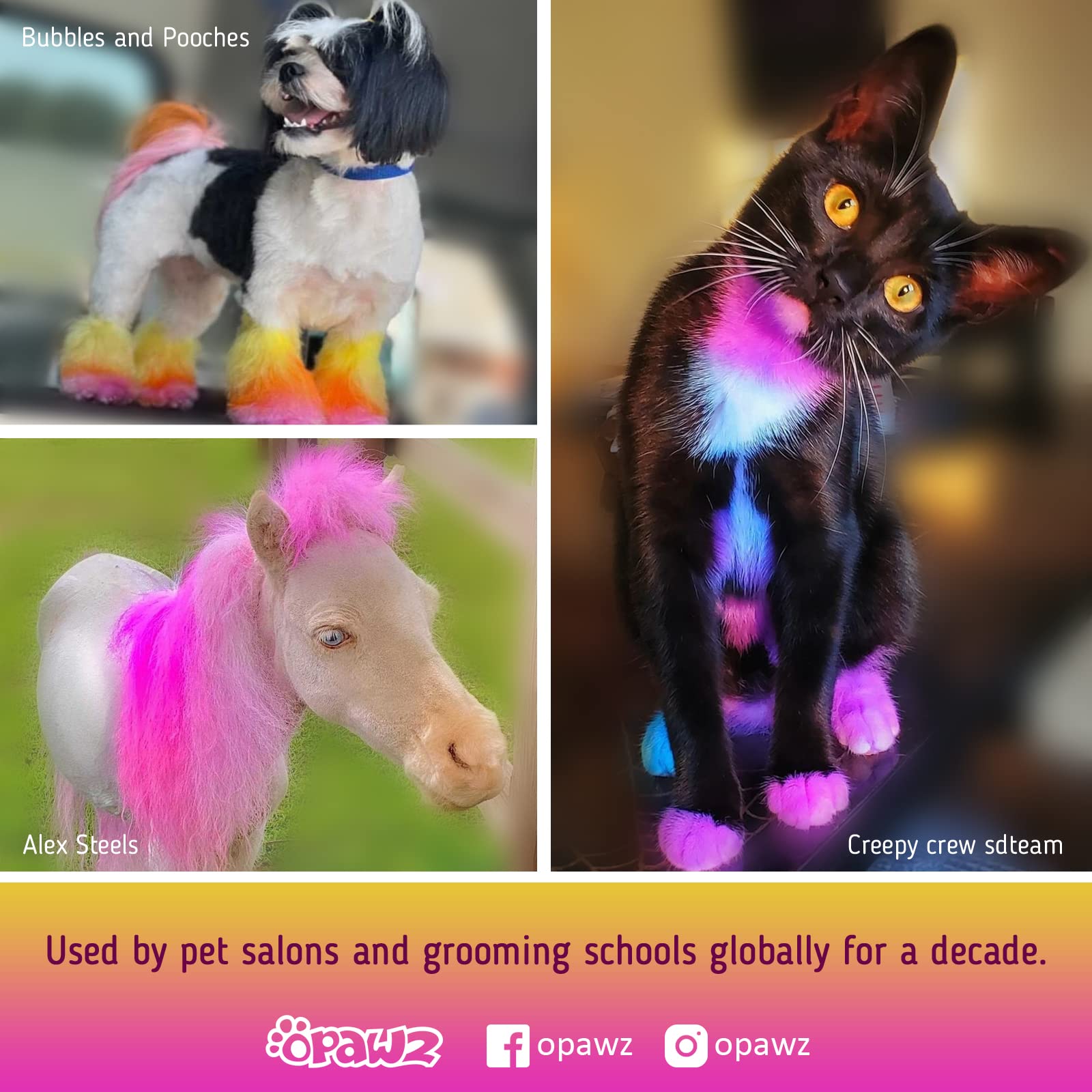 OPAWZ guide d’utilisation et emballage clair; conseils pratiques pour coloration animale.