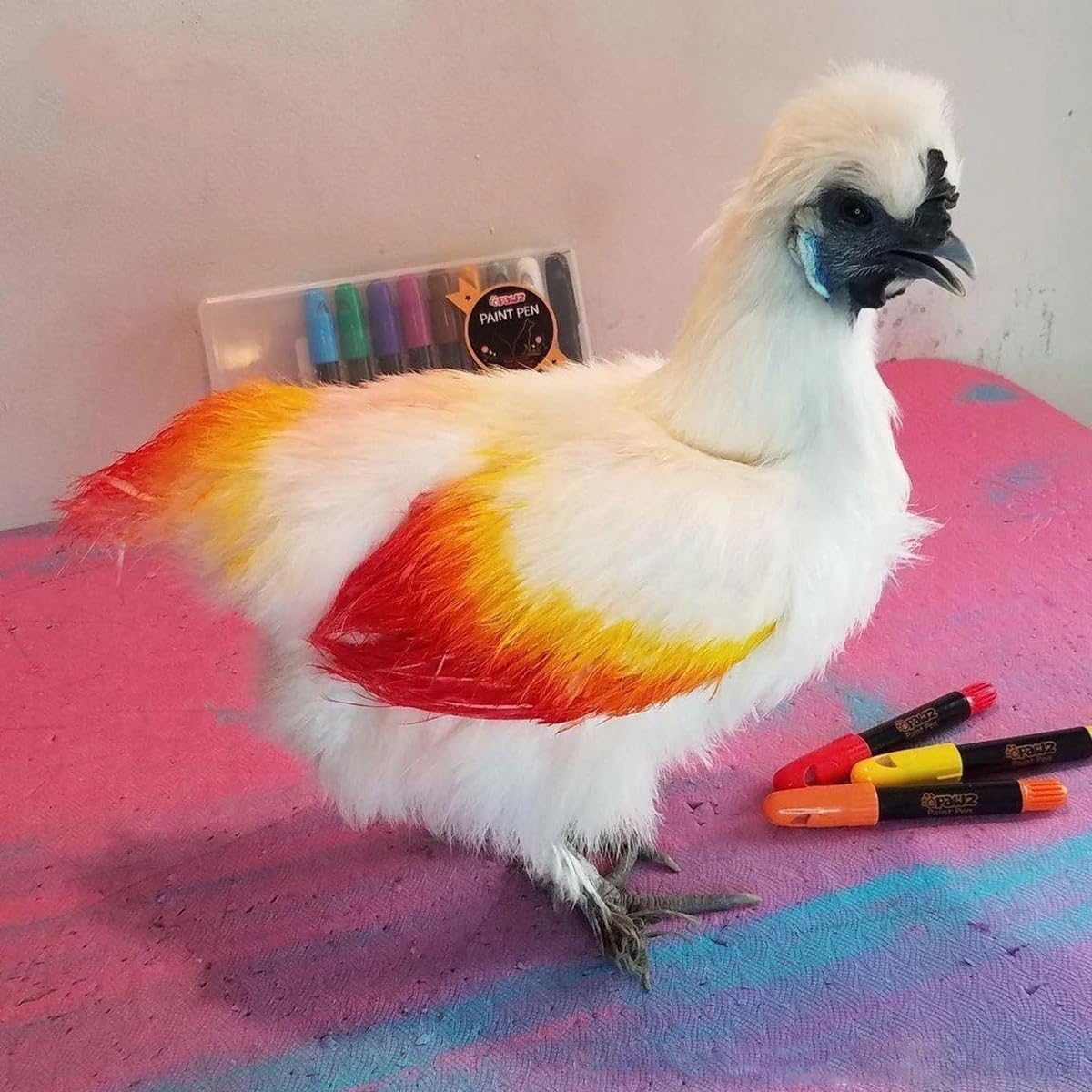 OPAWZ teinture poils animal marron, pratique et auto-application.