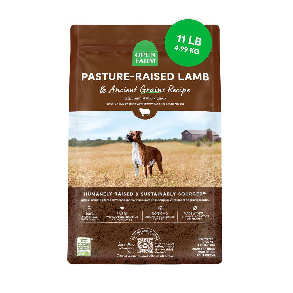 Open Farm croquettes à l'agneau et pâturage, riches en protéines pour chiens actifs.