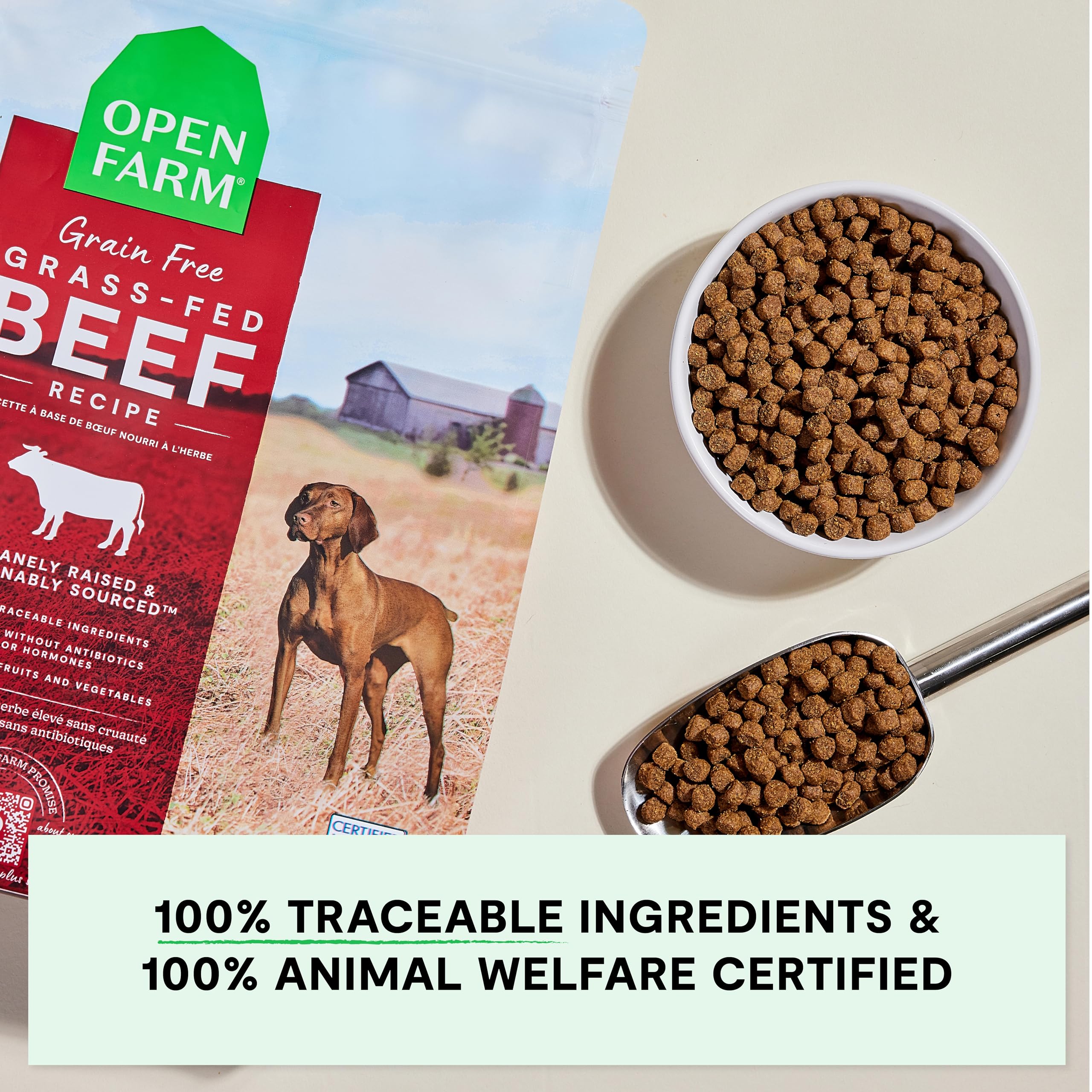Open Farm croquettes chien citrouille huile coco, super-aliments savoureux.