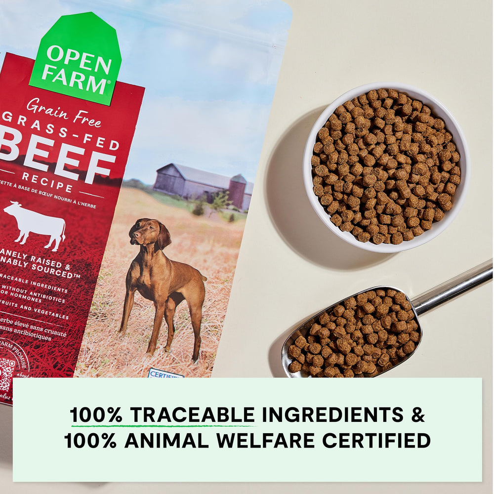 Open Farm croquettes chien citrouille huile coco, super-aliments savoureux.