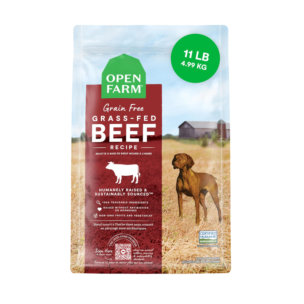 Open Farm croquettes sans grains pour chien, texture croustillante et nutrition complète.
