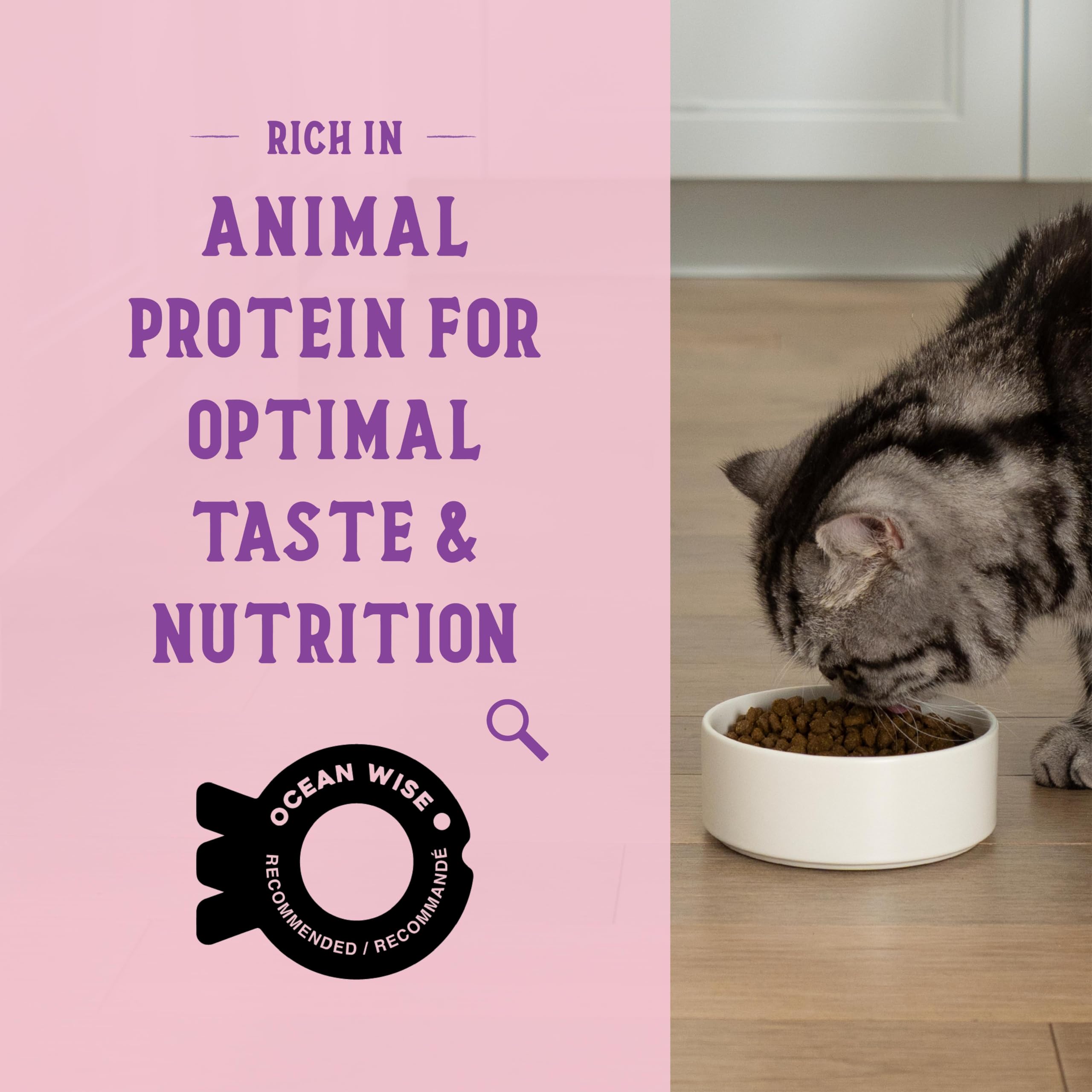 Open Farm Goodbowl - nutrition équilibrée pour chat actif.