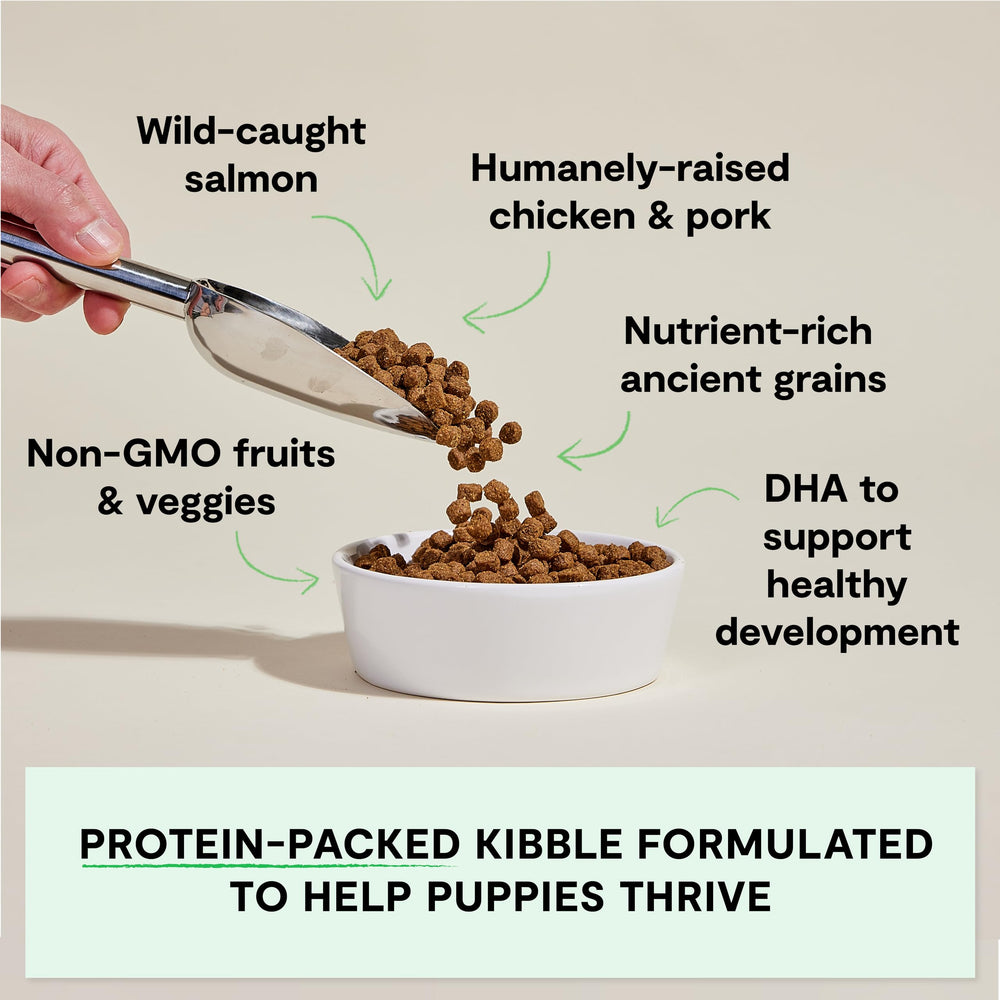 Open Farm grains anciens chiot protéines et fibres essentielles