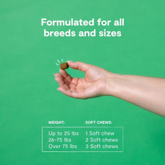 Open Farm Immune Chews: tableau des ingrédients, traçabilité via le numéro de lot.