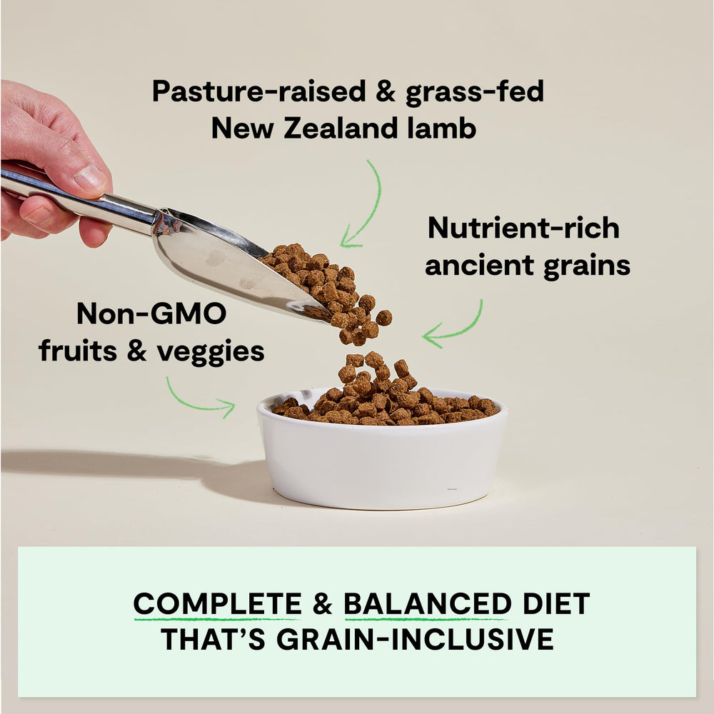 Ingrédients non OGM: fruits et légumes pour une nutrition transparente.