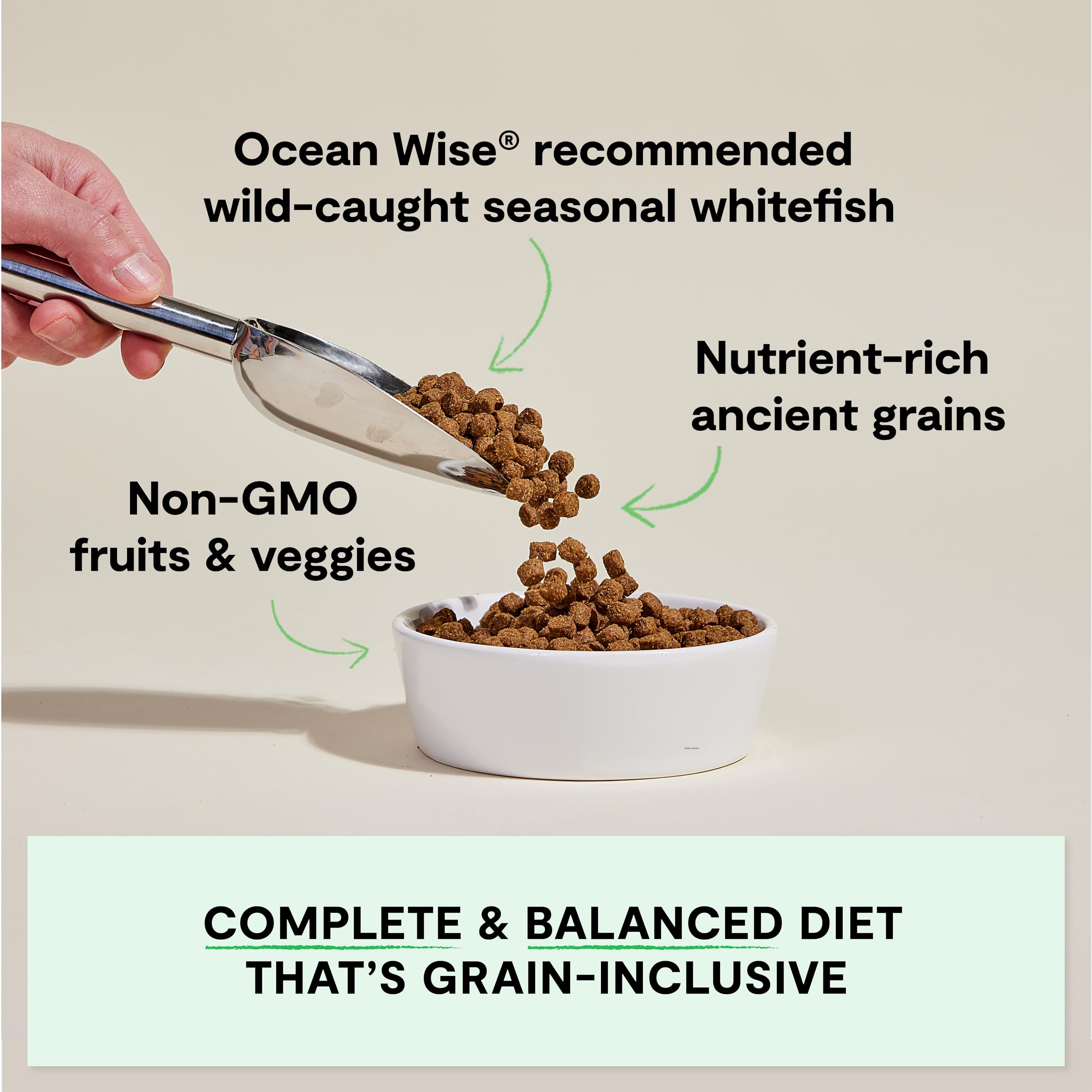 Open Farm ingrédients-sans-ogm-fruits-legumes: nutriments essentiels sans additifs.
