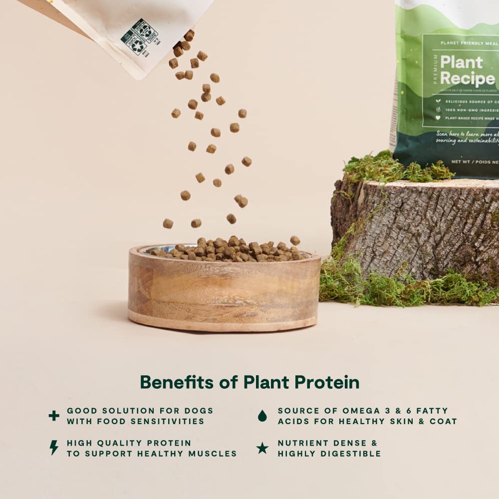 Open Farm Kind Earth probiotiques et chicorée pour digestion douce.
