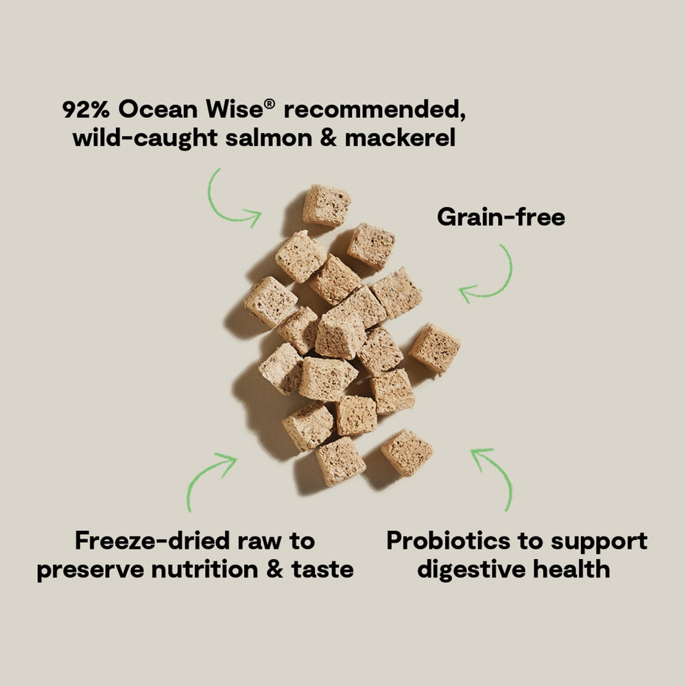 Kitty Cubes Open Farm avec probiotiques pour soutenir la digestion.