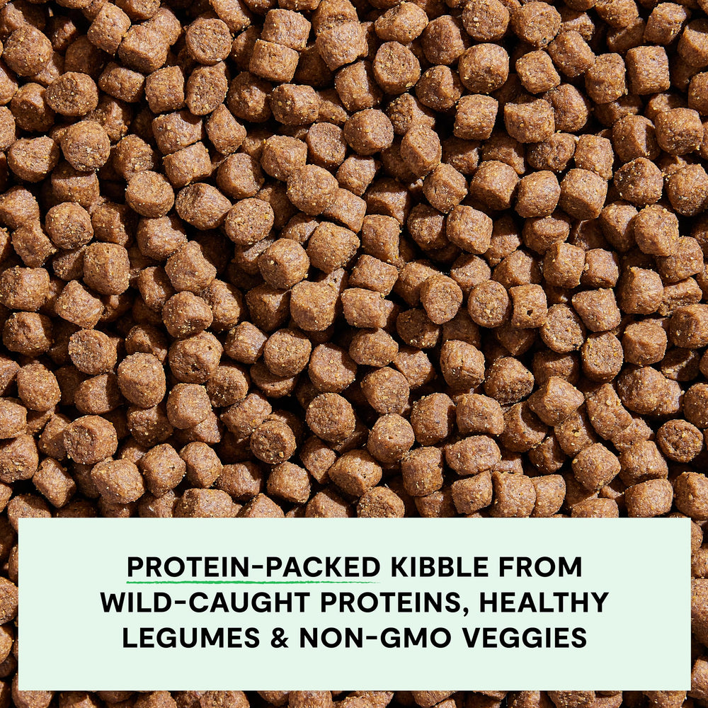 Open Farm légumes non-OGM et superaliments pour une nutrition équilibrée.