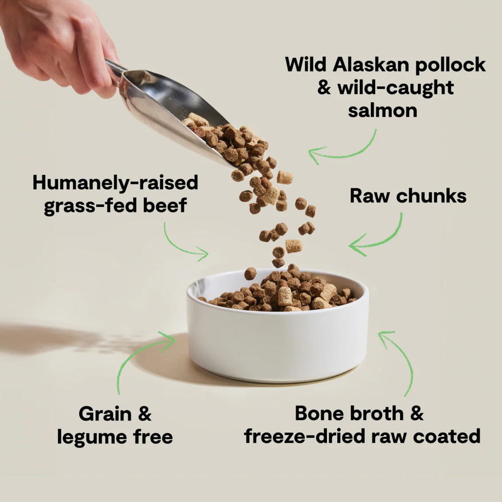 Open Farm RawMix croquettes pollock et saumon pour chien, goût appétissant et riche.