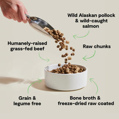 Open Farm RawMix croquettes pollock et saumon pour chien, goût appétissant et riche.