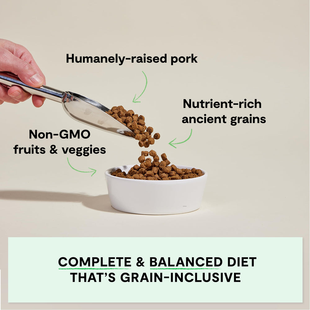 Open Farm recette porc fermier, croquettes savoureuses pour chien actif.