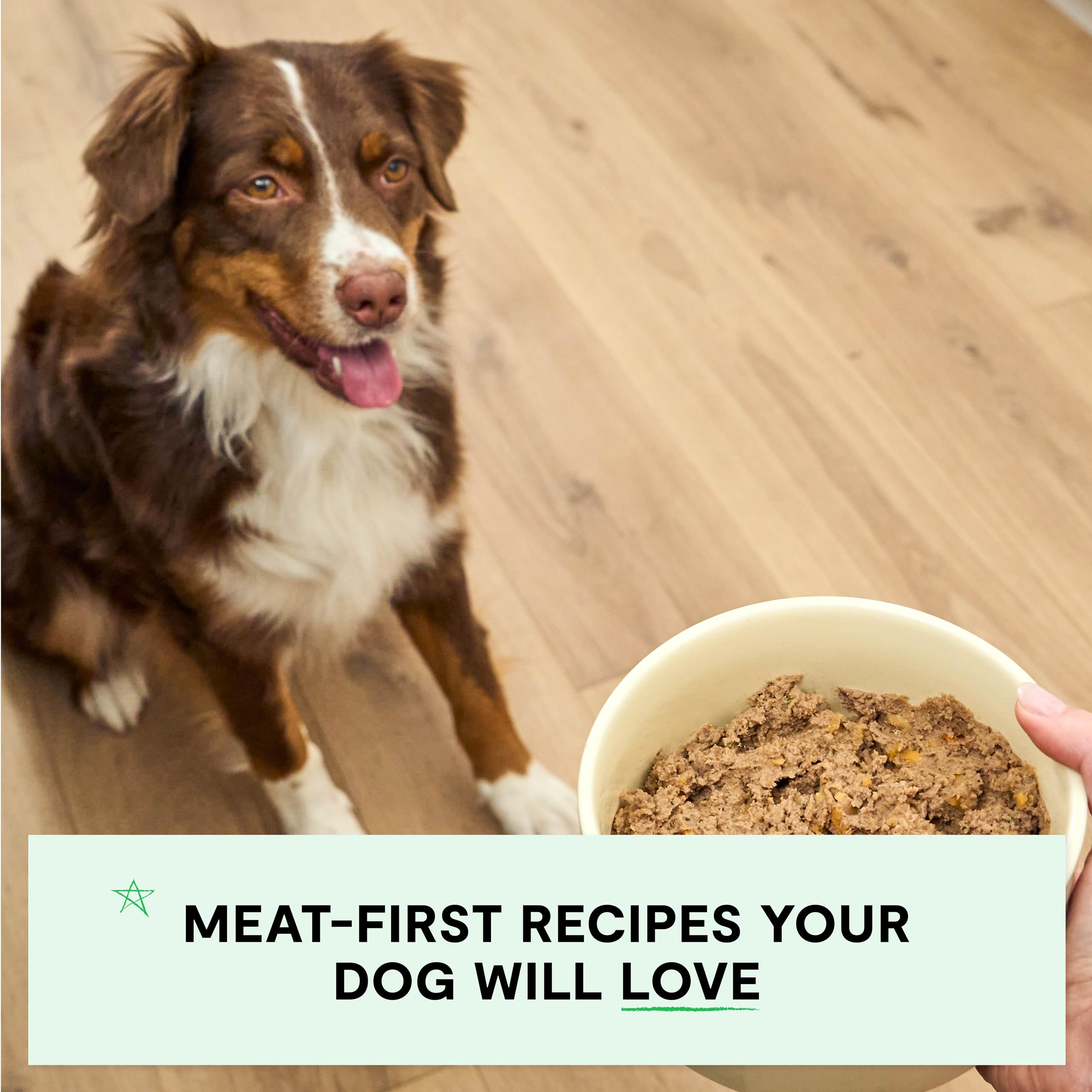 Open Farm sans-grains et légumineux, option digeste pour l’alimentation canine.
