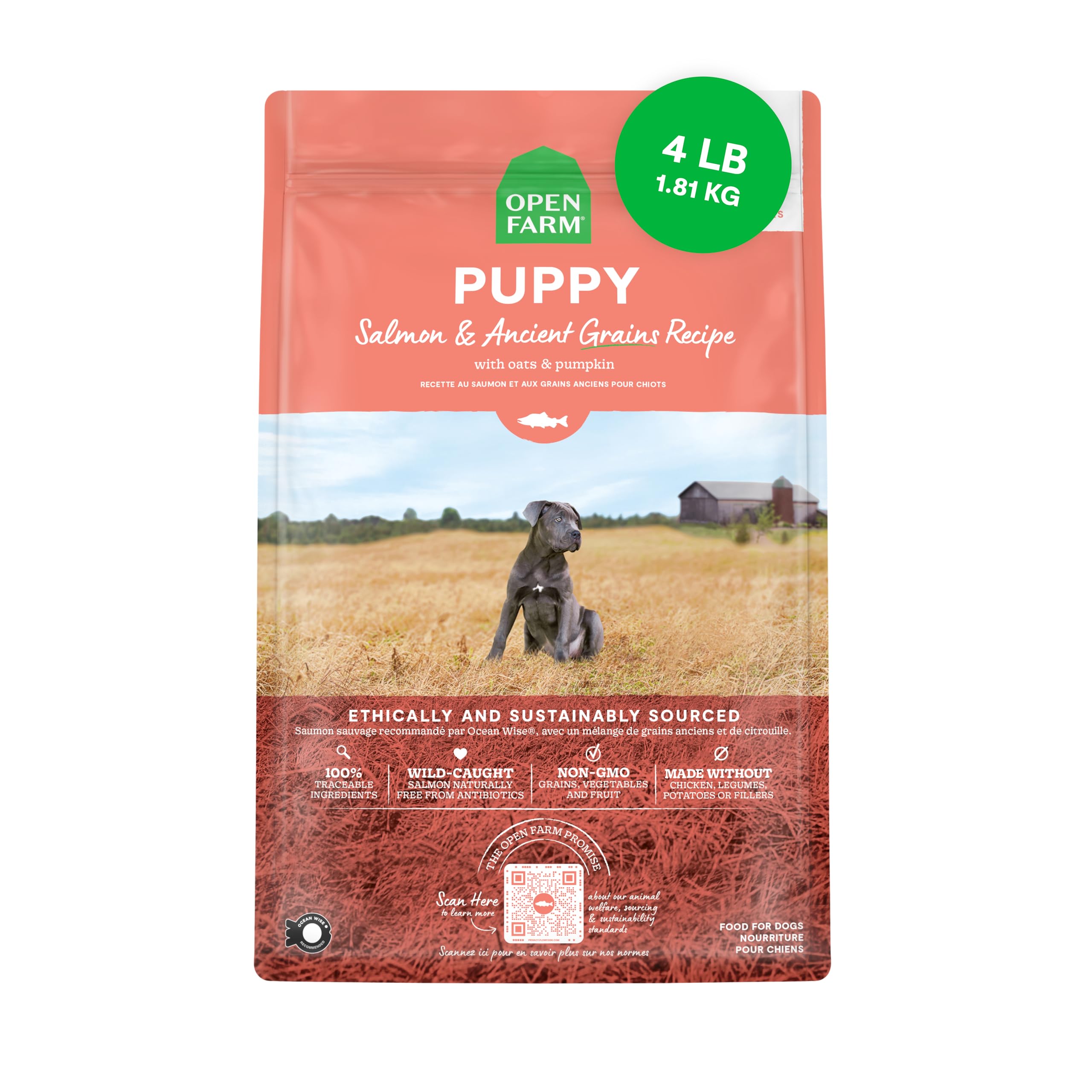 Open Farm saumon puppy croquettes: protéines élevées pour chiots actifs.