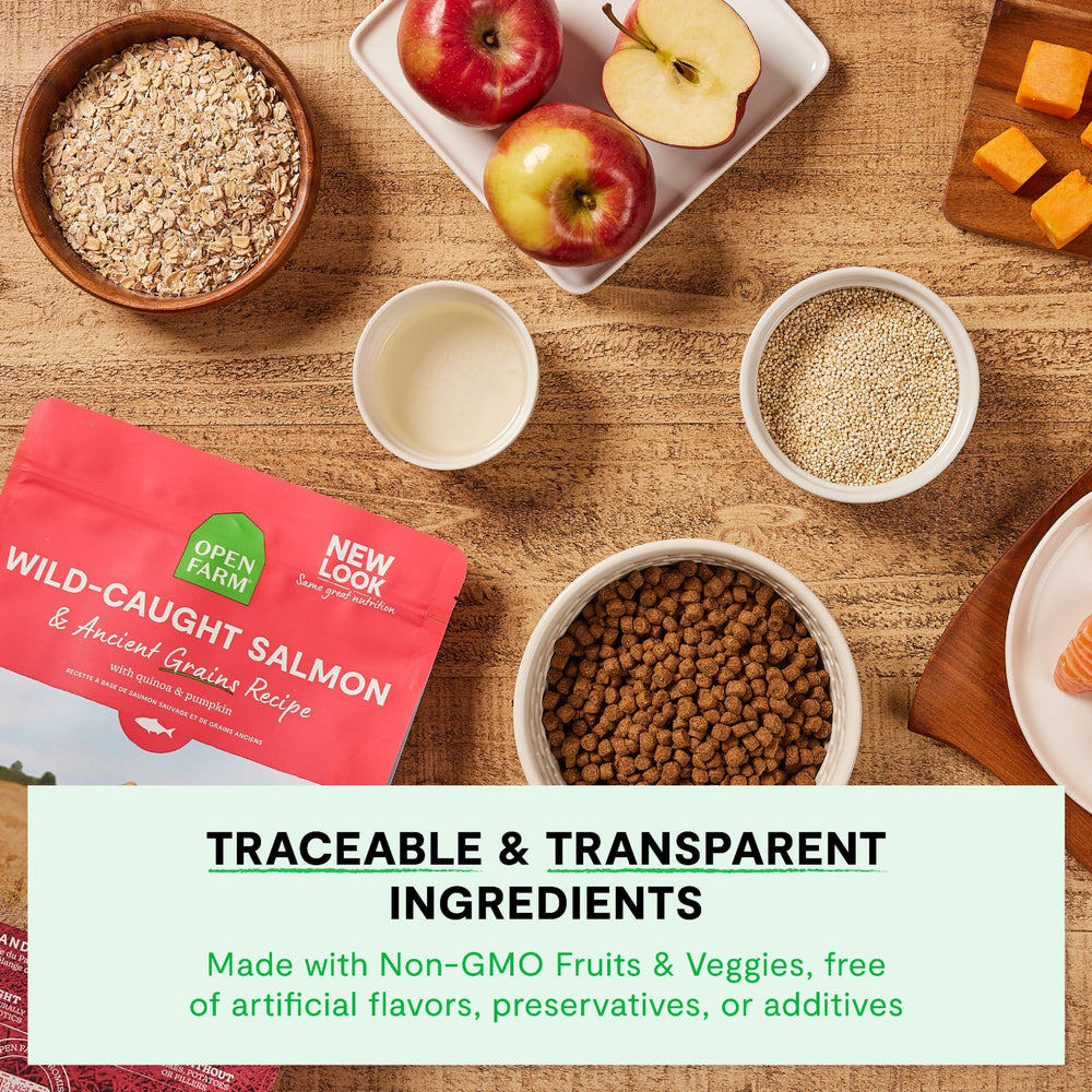 Open Farm Citrouille Quinoa Huile de Coco – nutriments naturels pour la croissance