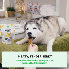 Tranches de jerky poulet cuites au four, texture tendre et appétissante.