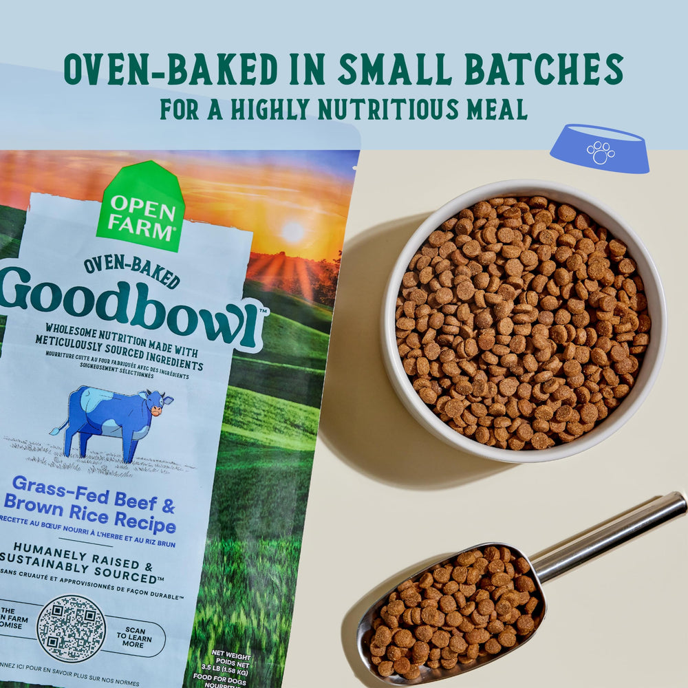 Open Farm Goodbowl croquettes en gros plan, texture croquante pour chien actif