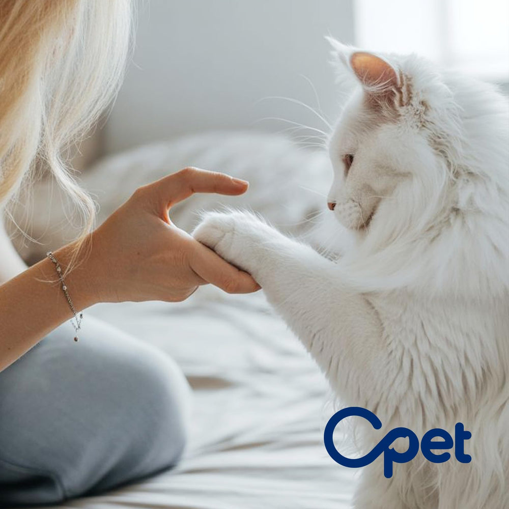 OPET litière-eco-responsable : choix respectueux de l'environnement pour votre foyer.