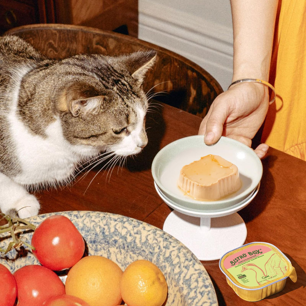 OPET Pâté chat — truffe noire, luxe aromatique et appétence.