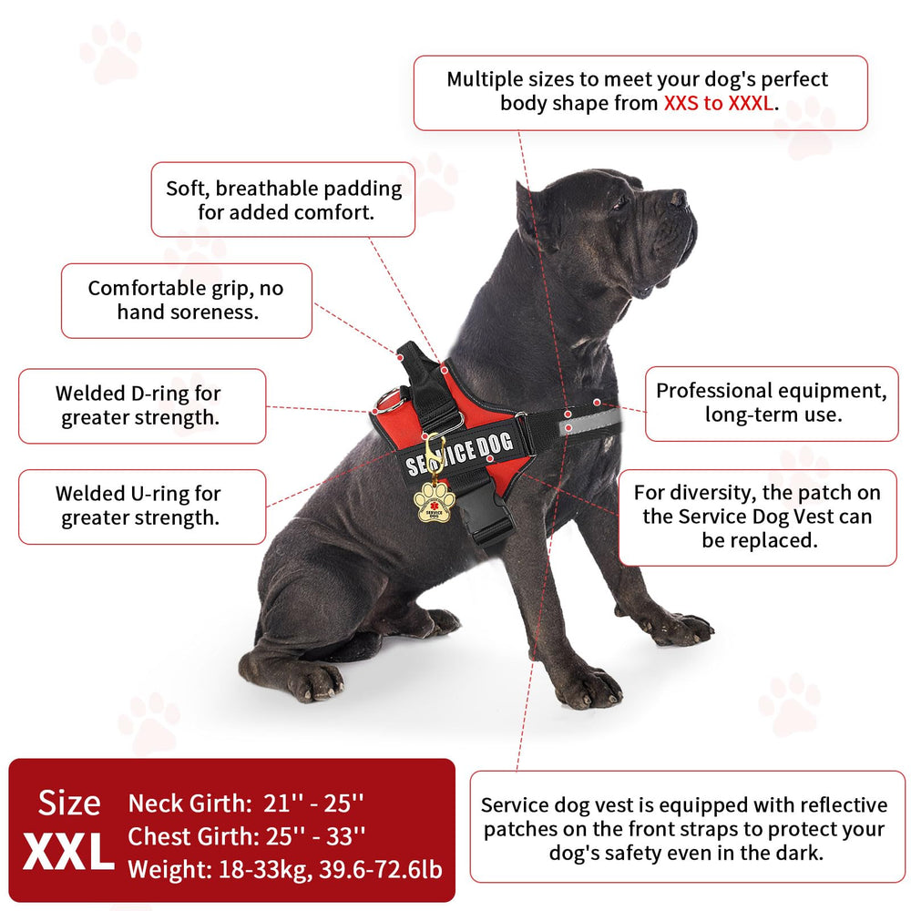 Opstin bande réfléchissante gilet chien service, visibilité nocturne renforcée.