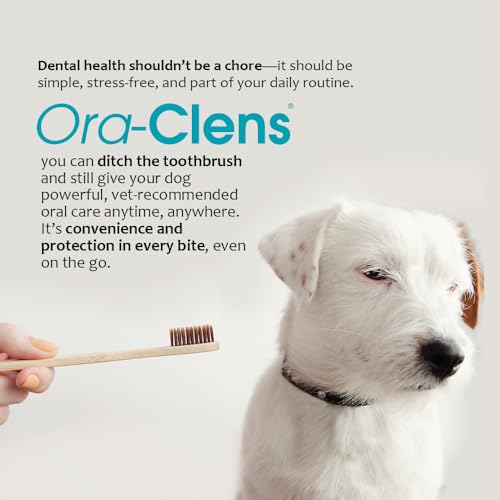 Ora-Clens Chews enzymes-lactoperoxydase ciblent tartre et plaque pour une bouche plus saine.