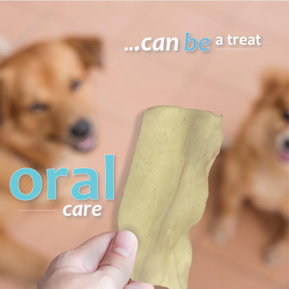 Chien mâchant Ora-Clens, goût volaille apprécié favorisant l'entretien dentaire au quotidien.