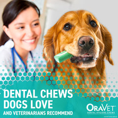ORAVET bouchées avec barrière delmopinol protégeant les dents et la bouche